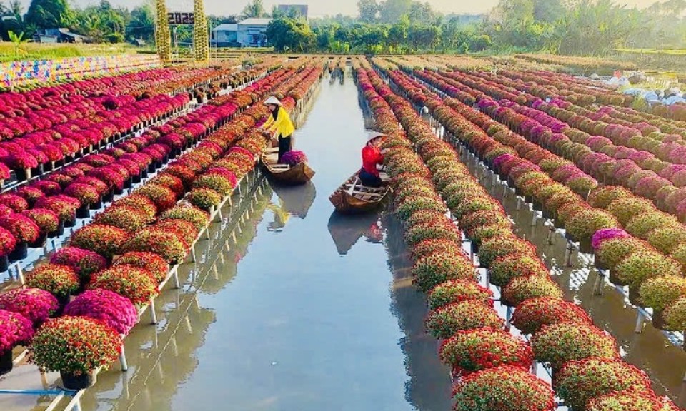 Hành Trình Khám Phá "Vương Quốc" Cây Giống Và Hoa Kiểng Lớn Nhất Miền Tây