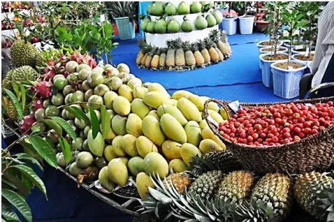 Nơi kết nối thương lái với nhà vườn, tha hồ mua bán đặc sản miền Tây