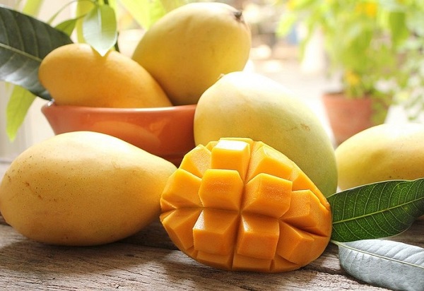 Xoài Cát Hòa Lộc