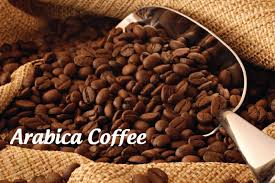 Cà Phê Arabica