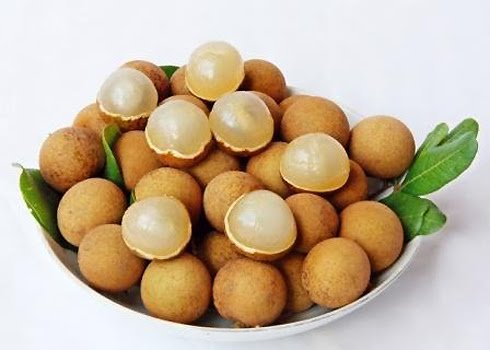 Giống Cây Nhãn Siêu Ngọt
