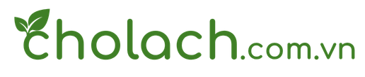 Cholach Logo